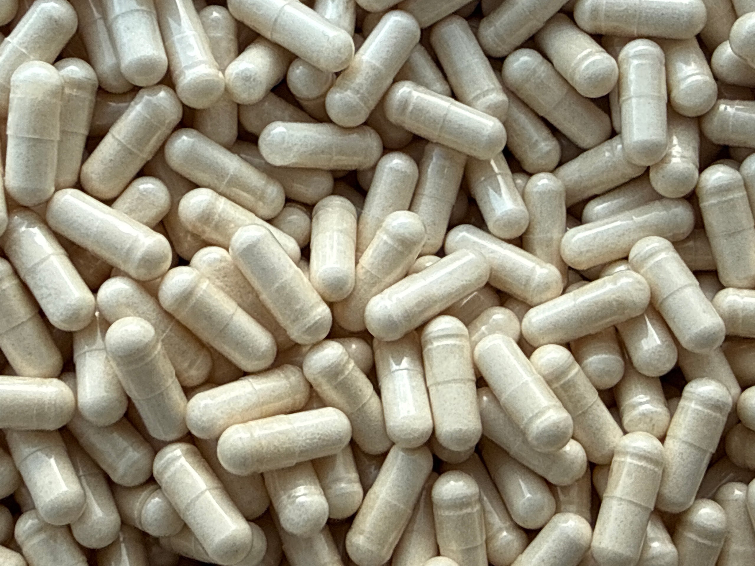 Beta-Ecdysterone 98% – Capsules – BulkLab Nutrition