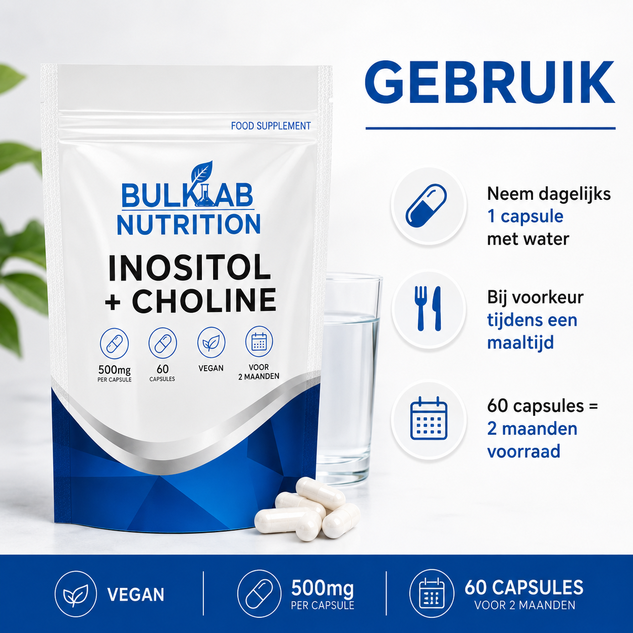 Inositol + Cholin - Kapseln - BulkLab Nutrition