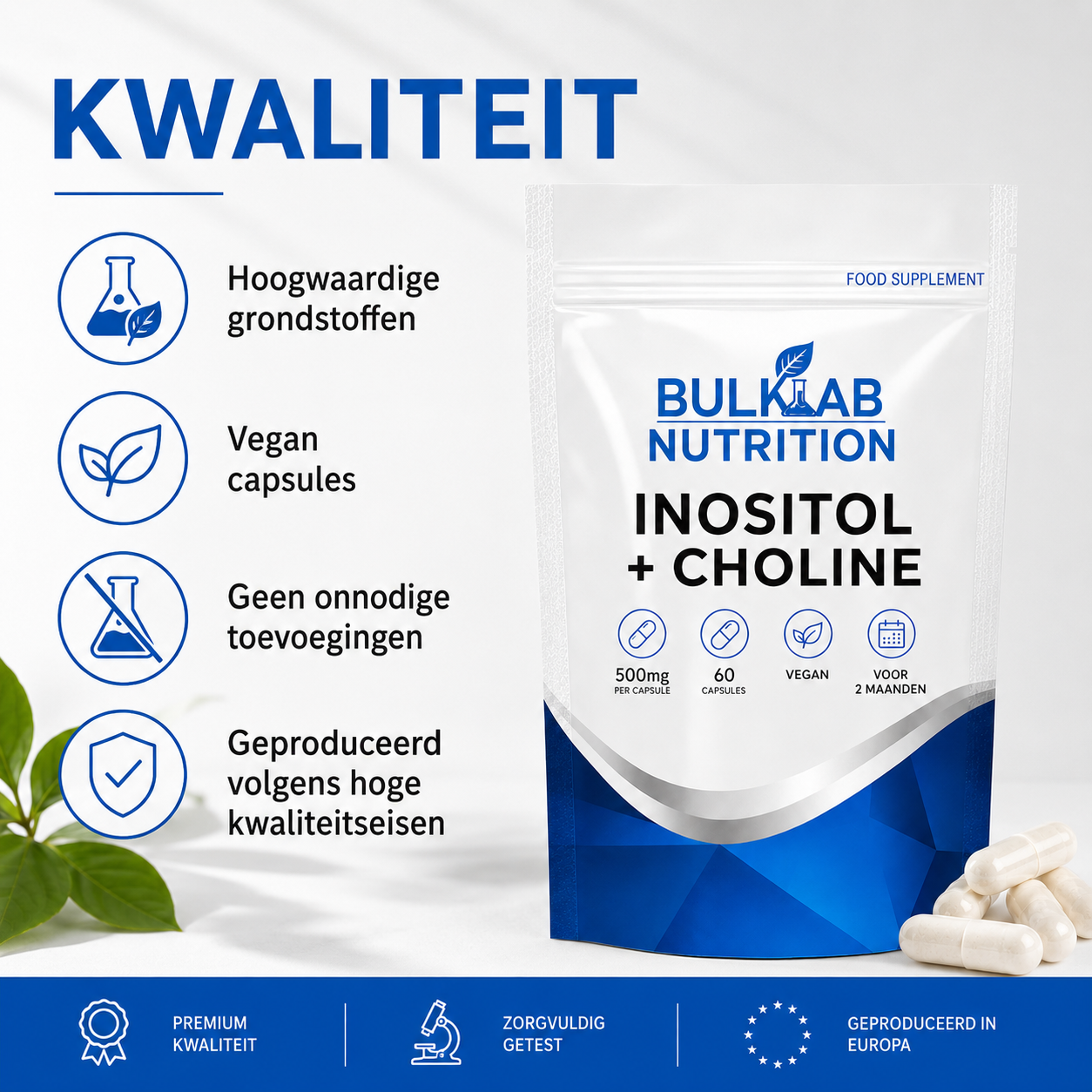 Inositol + Cholin - Kapseln - BulkLab Nutrition