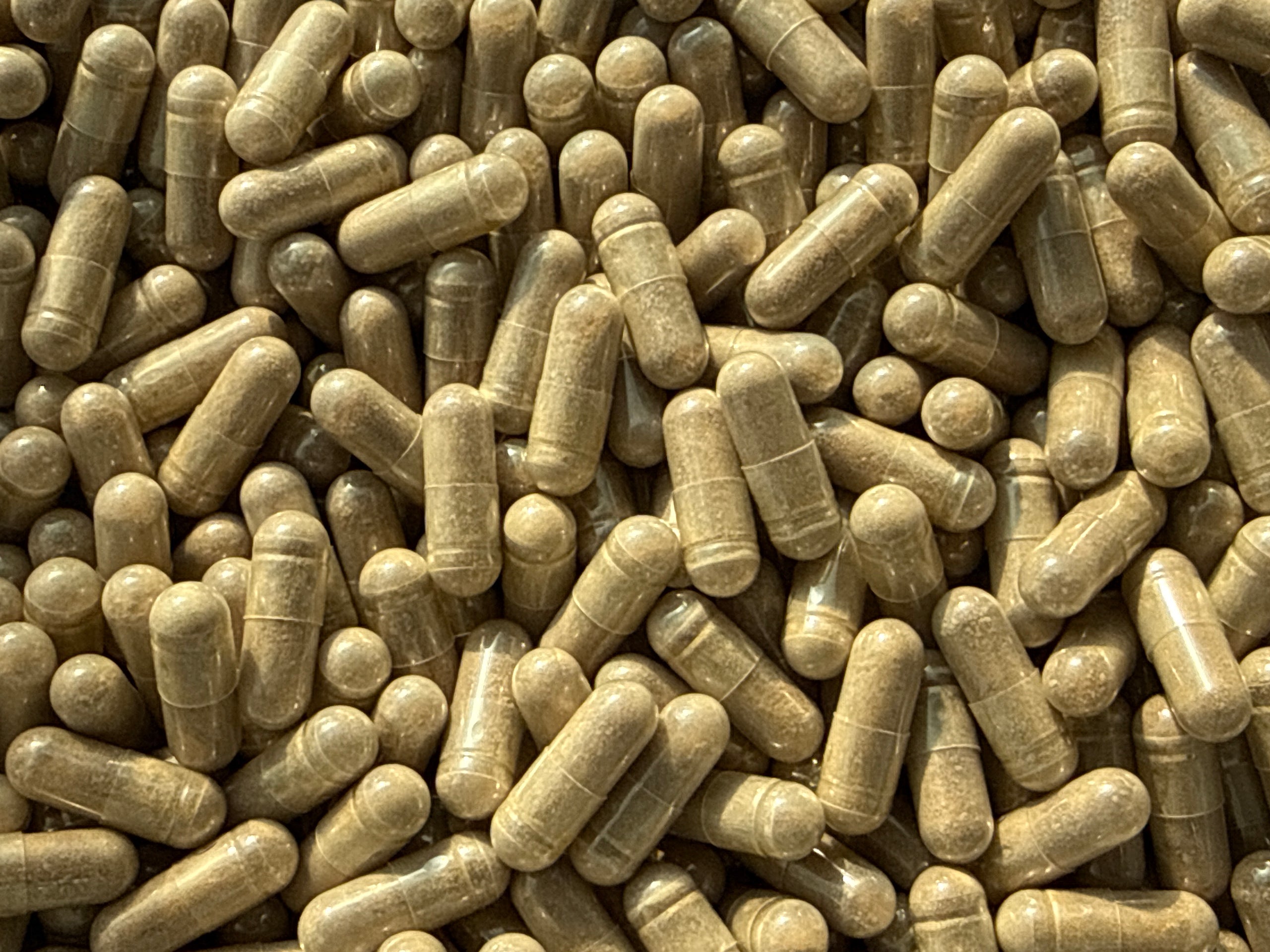 Turkesterone 50% – Bulk Capsules – BulkLab Nutrition